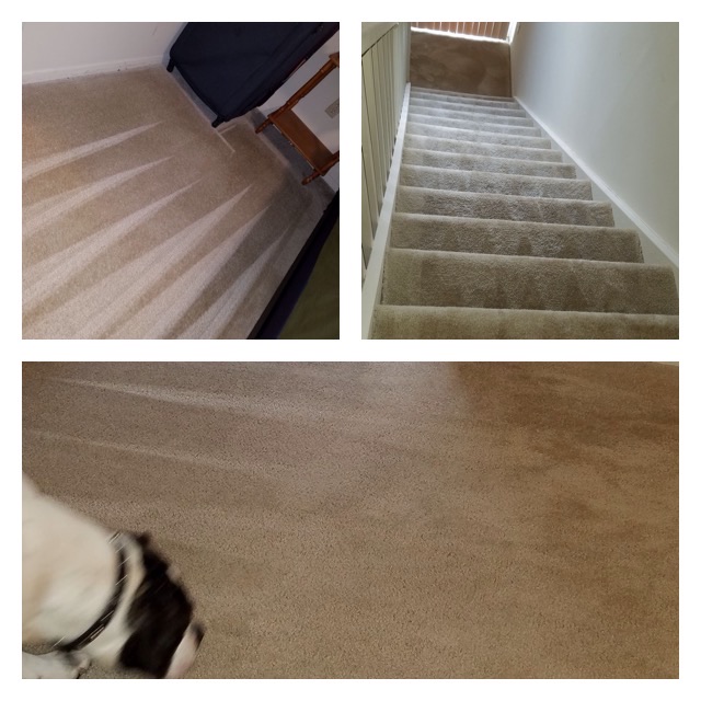 Q’s Quality Cleaning and Flooring | 2373, Cordova, TN 38088, USA | Phone: (901) 608-0938