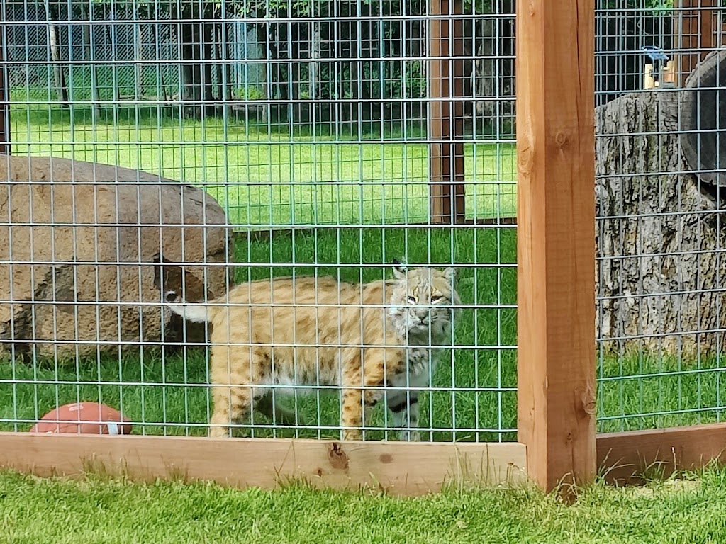 FAWN-DOE-ROSA Wildlife Educational Park | 2131 US-8, St Croix Falls, WI 54024, USA | Phone: (715) 483-3772