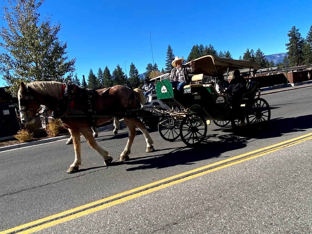 Borges Sleigh & Carriage Rides | 4130 Lake Tahoe Blvd, South Lake Tahoe, CA 96150, USA | Phone: (775) 588-2953