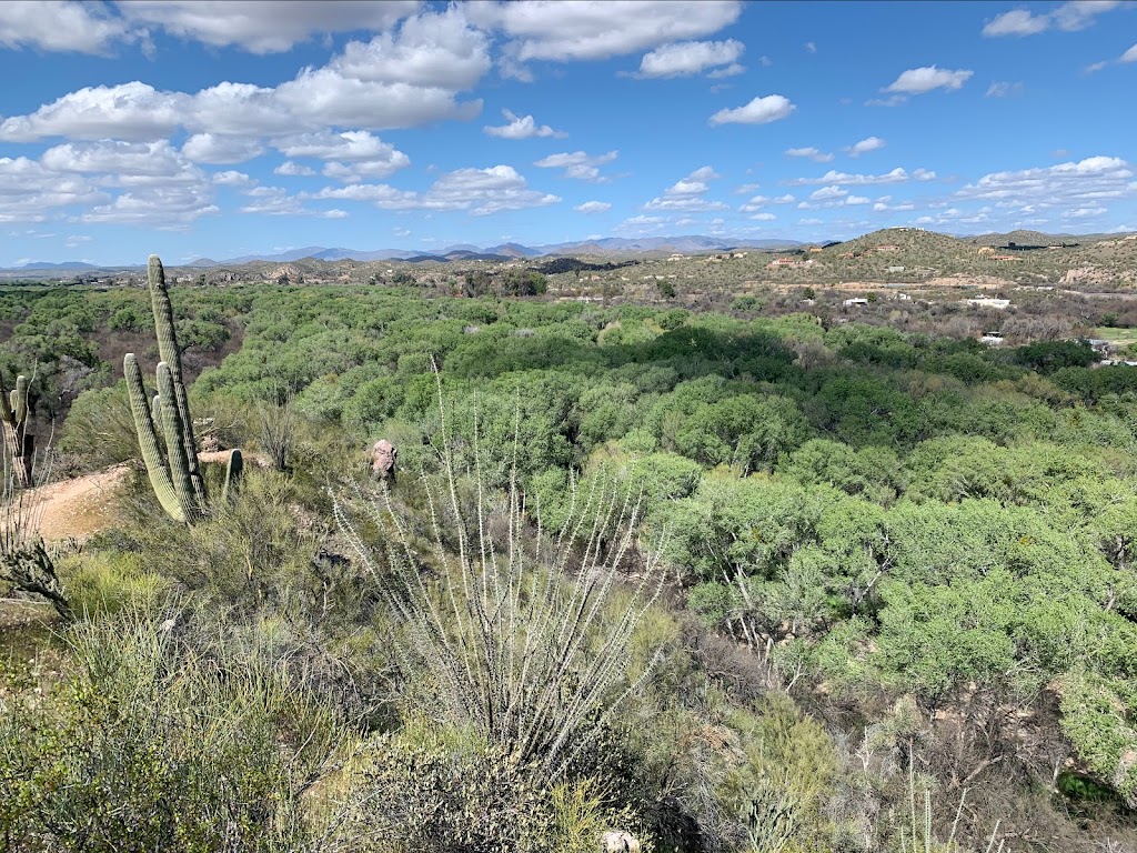 Hassayampa River Preserve | 49614 U.S. Hwy 60 89, Wickenburg, AZ 85390, USA | Phone: (928) 684-2772