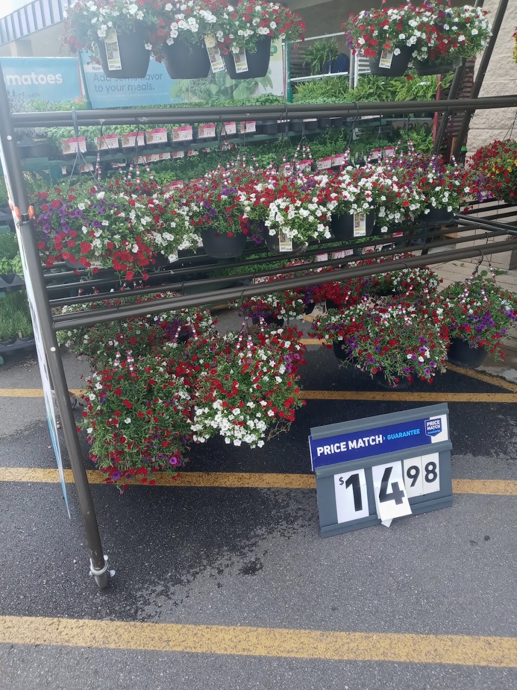 Lowes Garden Center | 300 Chatham Dr, Newport News, VA 23602, USA | Phone: (757) 988-1700