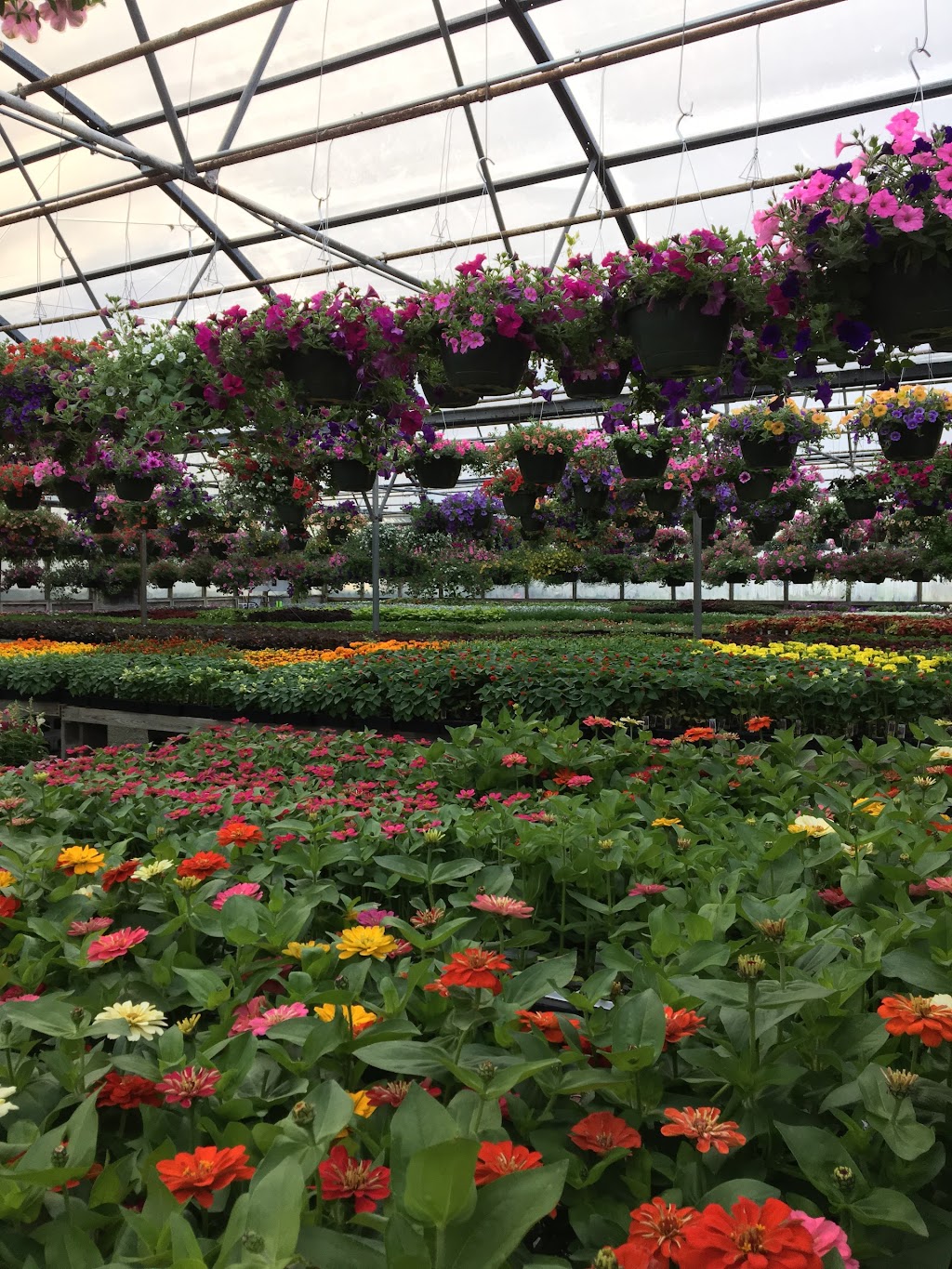 Grants Garden Center | 2115 OH-131, Batavia, OH 45103, USA | Phone: (513) 625-5100