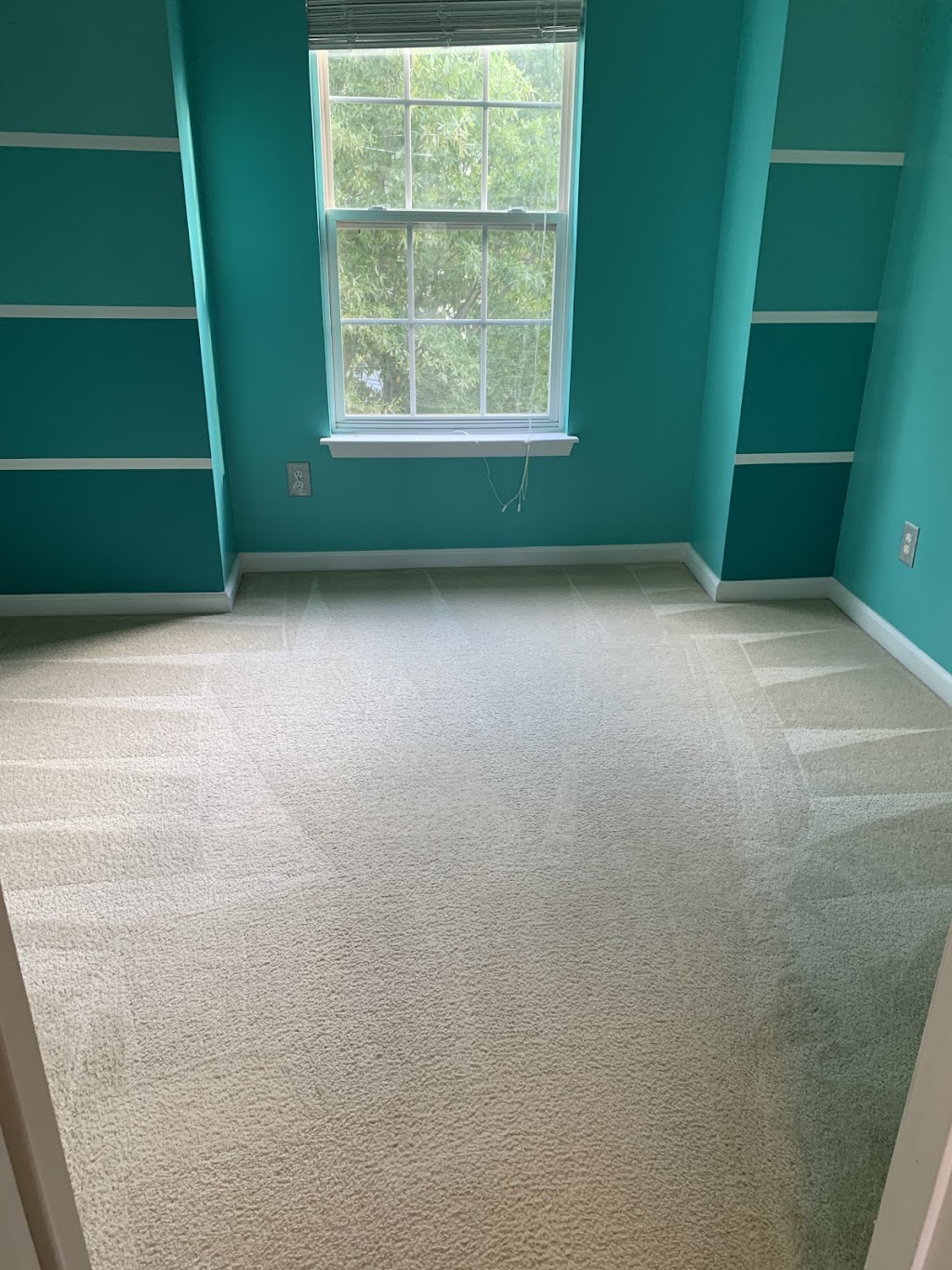 Carolina Carpet Cleaning | 18631 Northline Dr e, Cornelius, NC 28031, USA | Phone: (704) 663-5859