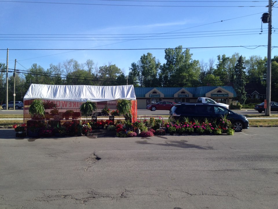 Garrison Mart | 1235 Garrison Rd, Fort Erie, ON L2A 1P2, Canada | Phone: (905) 871-8686 Garrison Mart | 1235 Garrison Rd, Fort Erie, ON L2A 1P2, Canada | Phone: (905) 871-8686