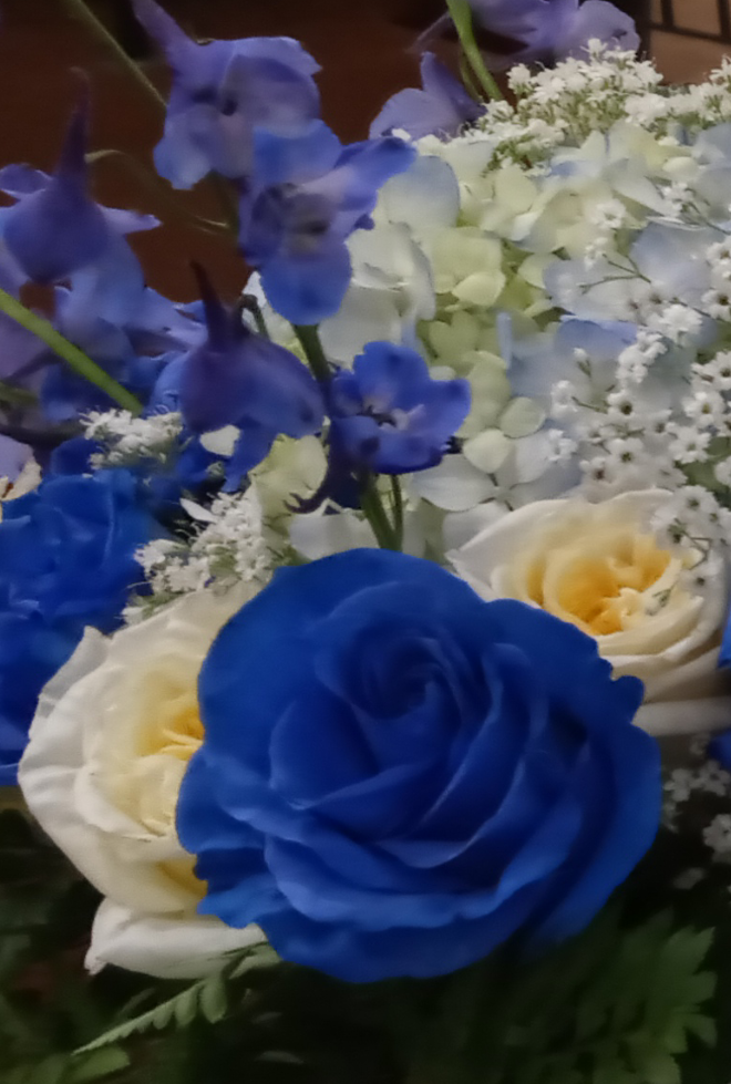 Puskas Family Flowers | 2493 N Ridge Rd, Lorain, OH 44055, USA | Phone: (440) 277-9211