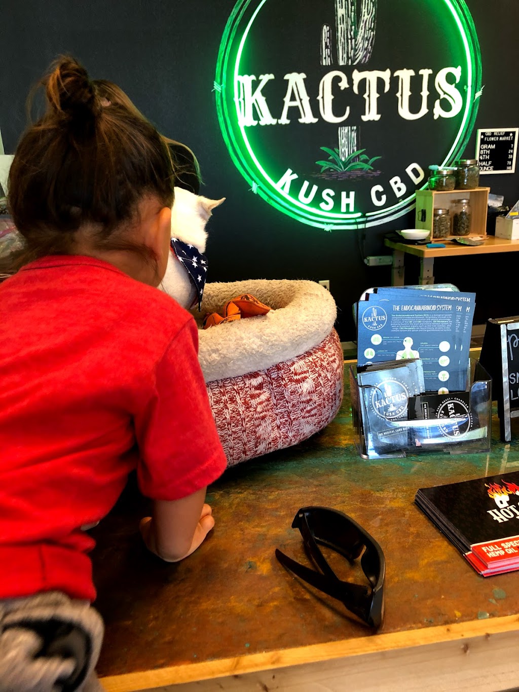 Kactus Kush CBD Chandler | 4880 S Gilbert Rd #E3, Chandler, AZ 85249, USA | Phone: (480) 590-5721