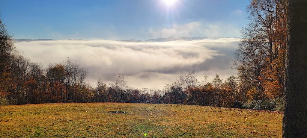 Tharp Knob Picnic Area #3 | Unnamed Road, Dunbar, PA 15431, USA | Phone: (724) 329-8591