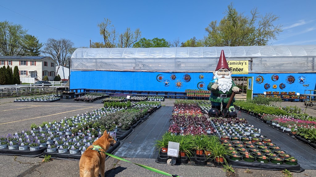 Comiskys Greenhouses Inc. | 115 Manlove Ave, Hightstown, NJ 08520, USA | Phone: (609) 448-1705