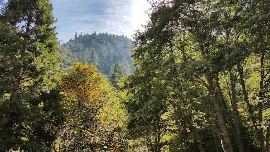 Cucamonga Wilderness | California, USA | Phone: (626) 335-1251