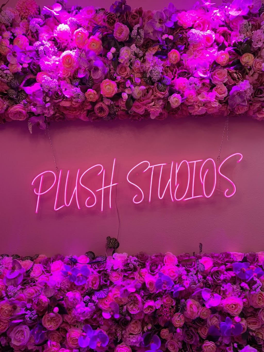 Plush Studio Beauty Bar Carson | 460 Carson Plaza Dr suite 108, Carson, CA 90746, USA | Phone: (310) 431-9344