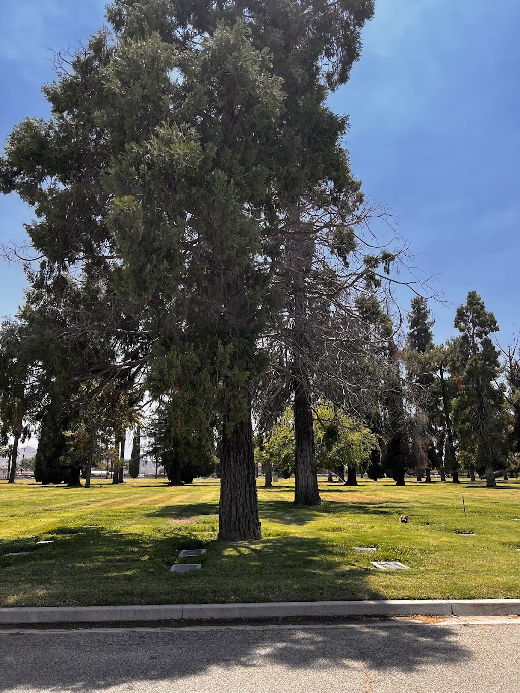 San Jacinto Valley Cemetery | 2555 S Santa Fe Ave, San Jacinto, CA 92583, USA | Phone: (951) 658-4923