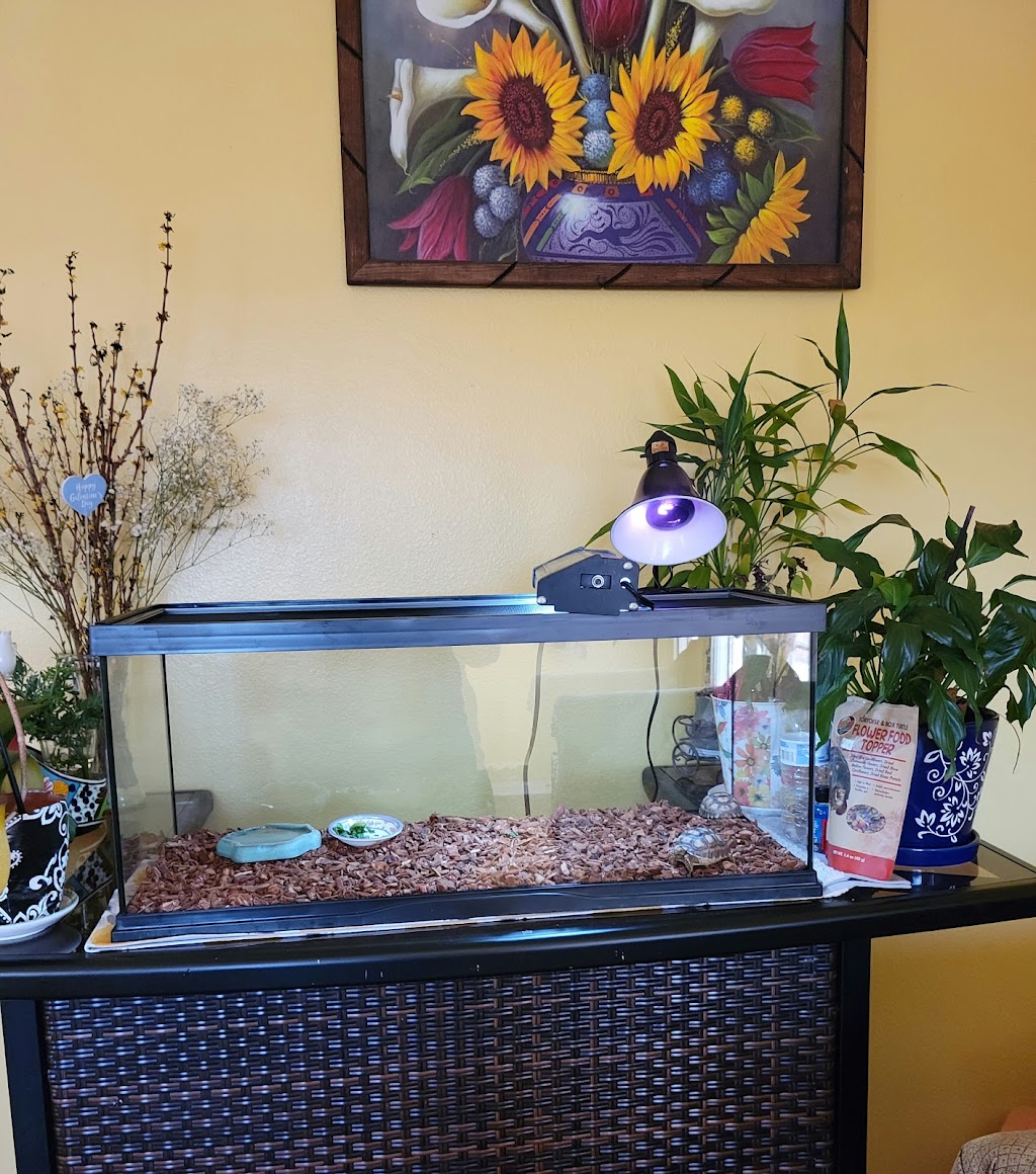 Wow Fish and Pet ( Aquarium ) | 15923 Bear Valley Rd #B130, Hesperia, CA 92345, USA | Phone: (760) 241-0132