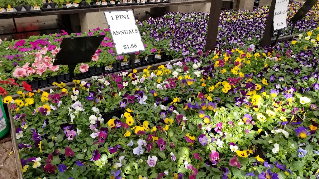 Lowes Garden Center | 1000 NE Wood Village Blvd, Wood Village, OR 97060 | Phone: (503) 667-1005