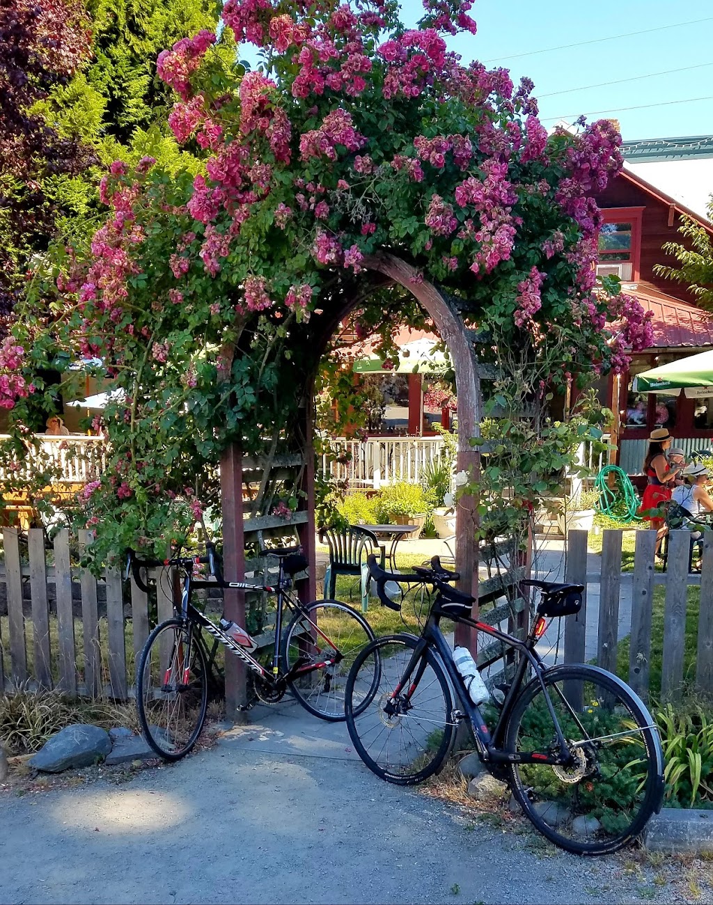 Whidbey Doughnuts | 5603 Bayview Rd Suite #6, Langley, WA 98260, USA | Phone: (360) 321-4653