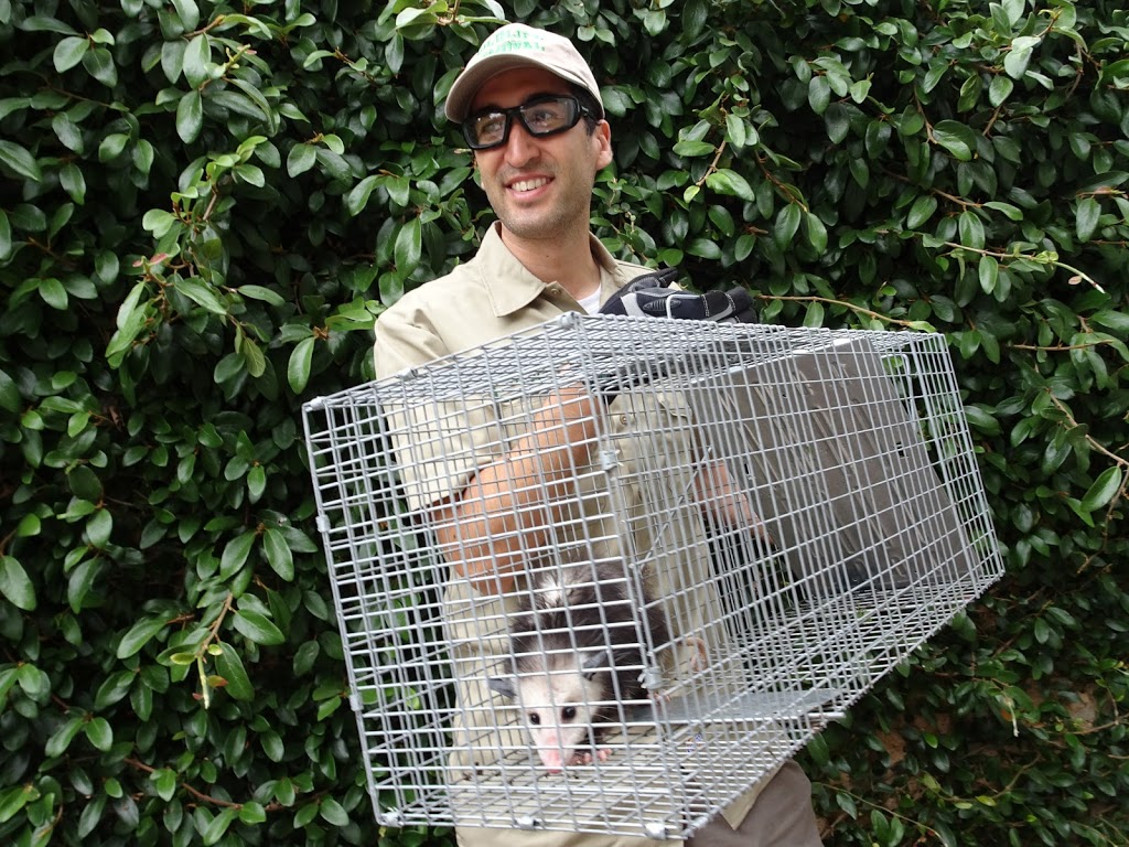 Burlington Wildlife Removal | 704 Cairn Cir, Burlington, NC 27217, USA | Phone: (336) 792-4680