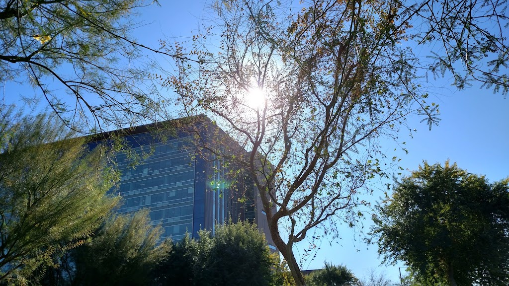 University of Phoenix | 4035 S Riverpoint Pkwy, Phoenix, AZ 85040, USA | Phone: (844) 937-8679