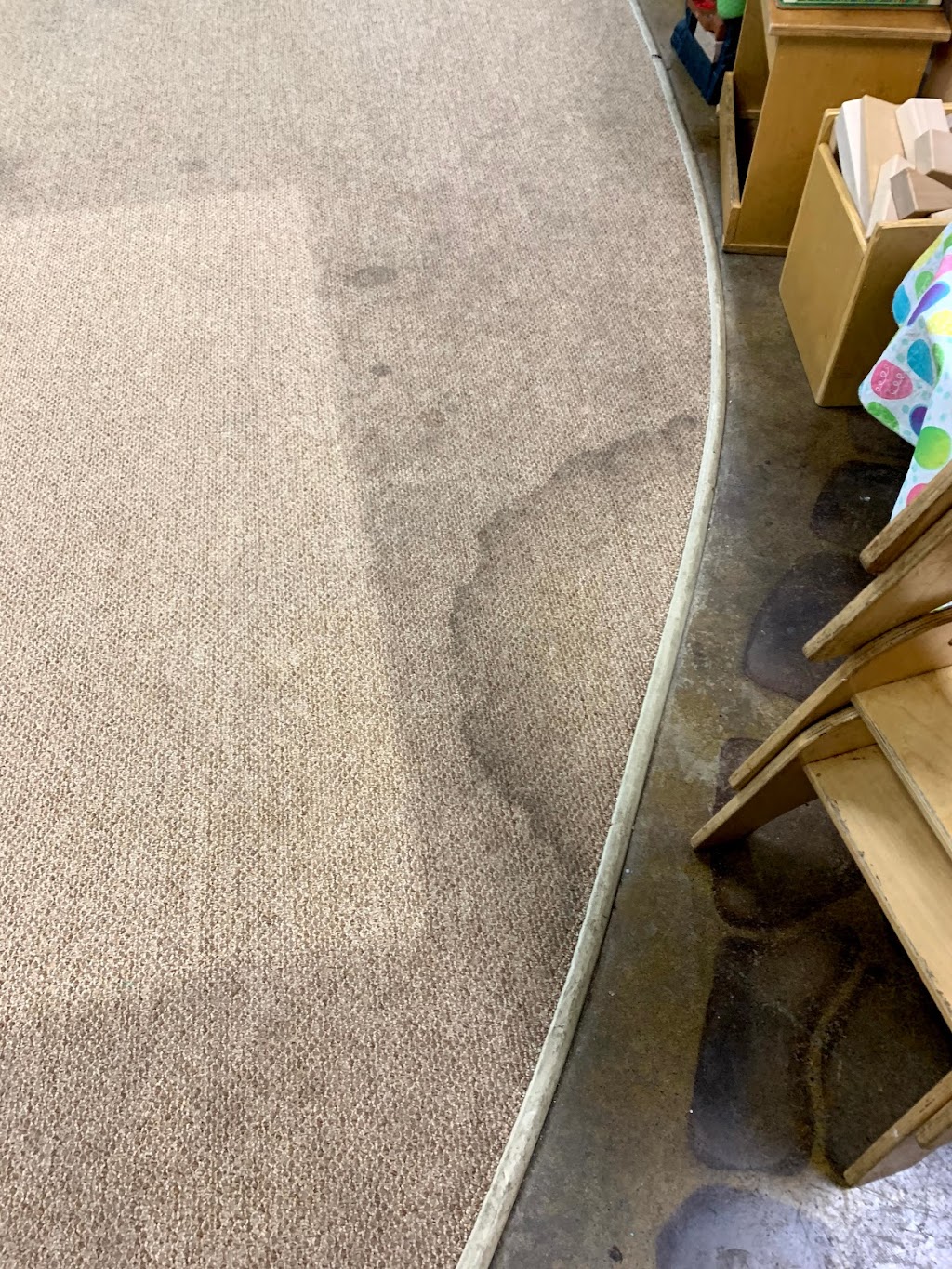 Citrusolution Carpet Cleaning of Paulding County | 200 Garland Rose Ln, Dallas, GA 30157, USA | Phone: (678) 736-1156