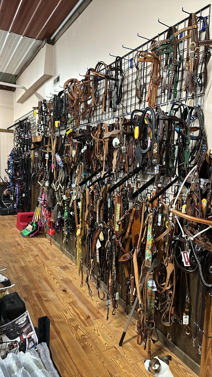 Custom Conchos And Tack Leather By Design | 2074 Ashland Rd, Mansfield, OH 44905, USA | Phone: (567) 560-4457