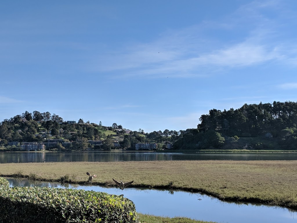 Office Evolution | 100 Shoreline Hwy suite 100 bldg b, Mill Valley, CA 94941, USA | Phone: (415) 980-3424