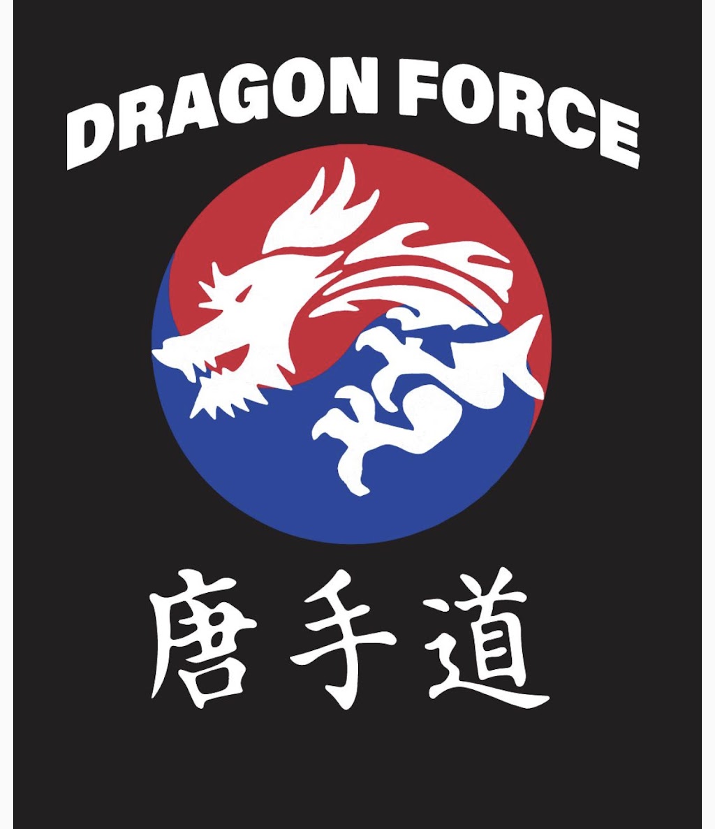Dragon Force Korean Martial Arts | 4110 Edgmont Ave, Brookhaven, PA 19015, USA | Phone: (610) 800-4832