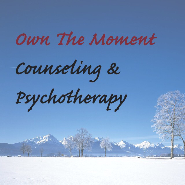 Own the Moment Counseling Services, LLC | 126 Enterprise Path Suite 205, Hiram, GA 30141, USA | Phone: (678) 408-1513