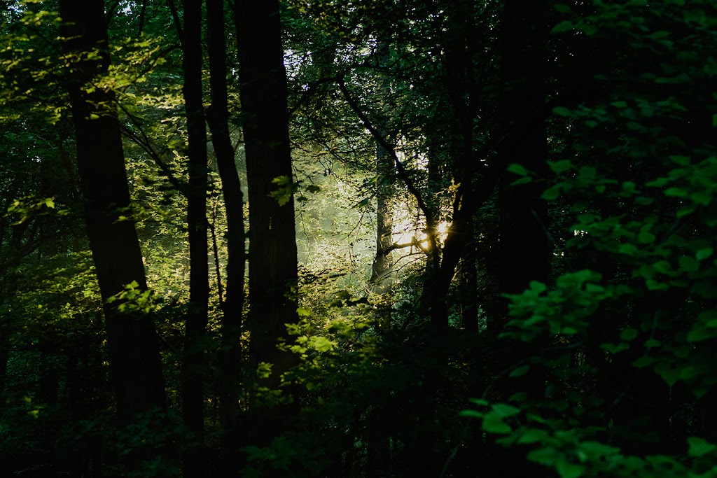William J. Robertson Nature Preserve | 85 Morning Star Dr, Rittman, OH 44270, USA | Phone: (330) 925-2045