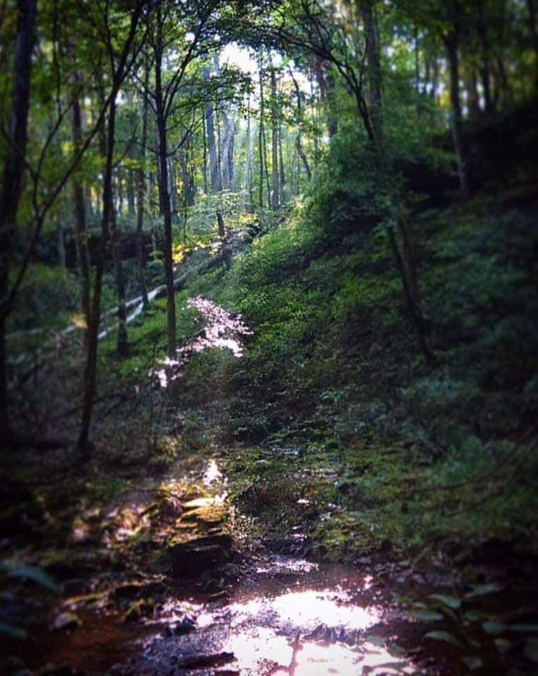 Beavercreek Christian Counseling, LLC | 1410 Lemcke Rd, Beavercreek, OH 45434, USA | Phone: (937) 239-1512