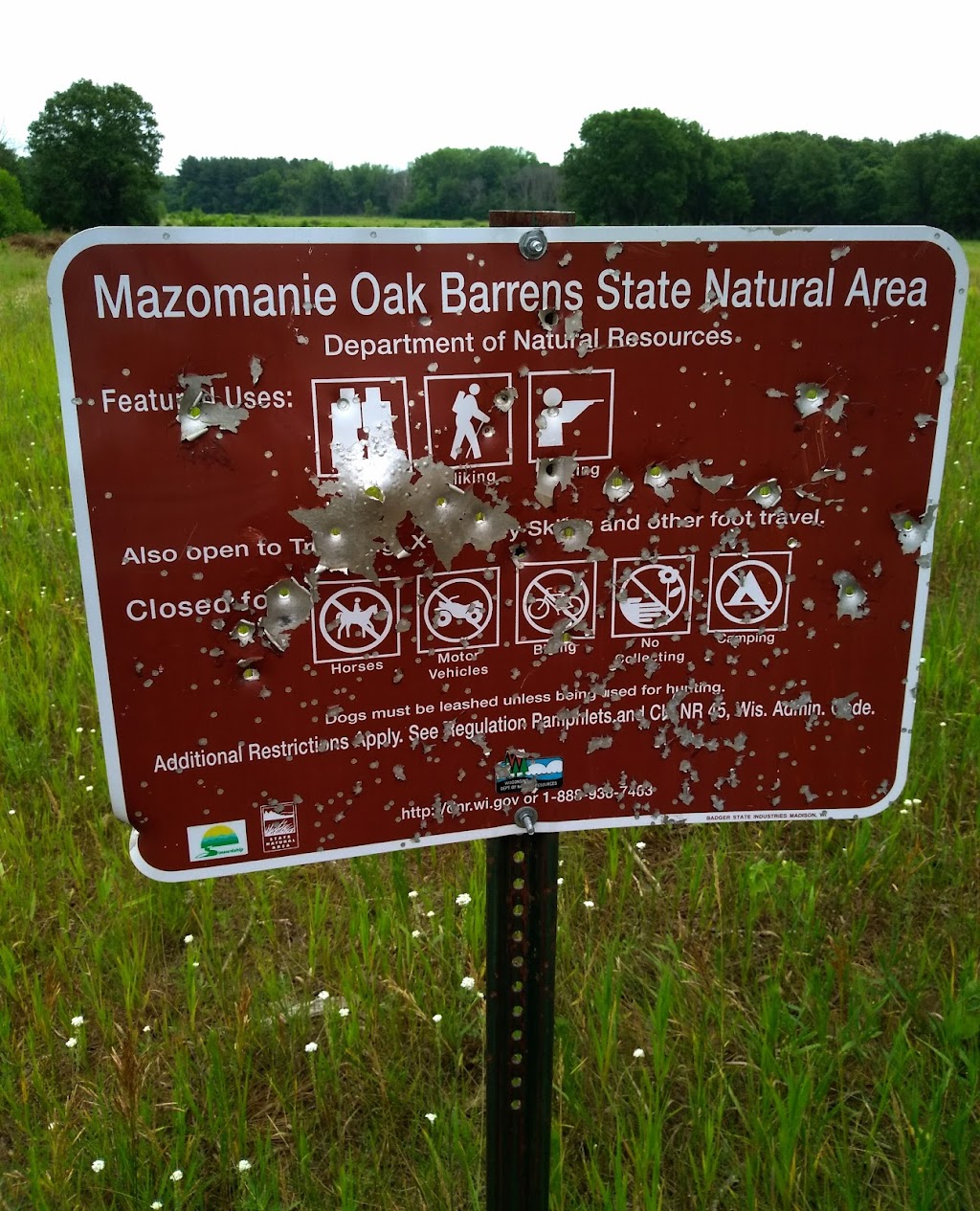 Mazomanie Oak Barrens State Natural Area | 9749 County Hwy Y, Mazomanie, WI 53560, USA | Phone: (608) 266-0394