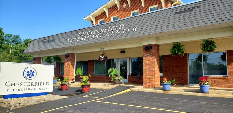 Chesterfield Veterinary Center | 14161 Olive Blvd, Chesterfield, MO 63017, USA | Phone: (314) 469-1700