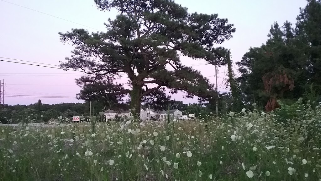 Sea Oats Motel | 112 N River Dr, Jarvisburg, NC 27947, USA | Phone: (252) 491-8455