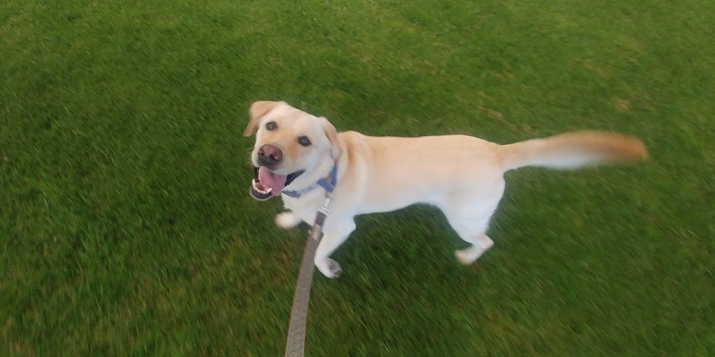 Lindbergh Park | 220 23rd St, Costa Mesa, CA 92627, USA | Phone: (714) 548-4165 Lindbergh Park | 220 23rd St, Costa Mesa, CA 92627, USA | Phone: (714) 548-4165