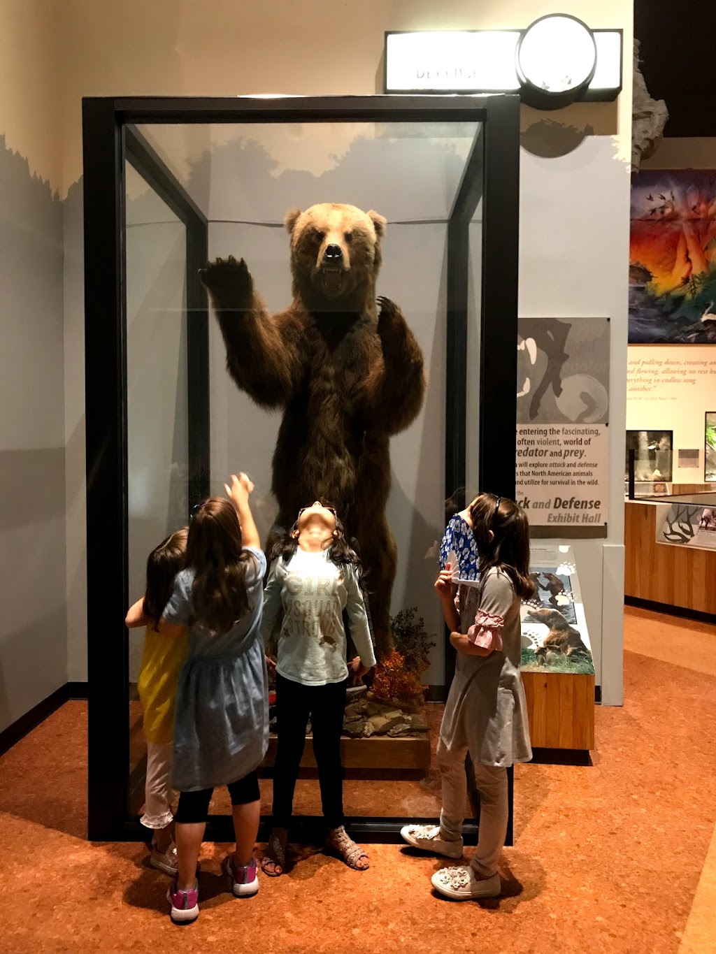 Anniston Museum of Natural History | 800 Museum Dr, Anniston, AL 36206, USA | Phone: (256) 237-6766