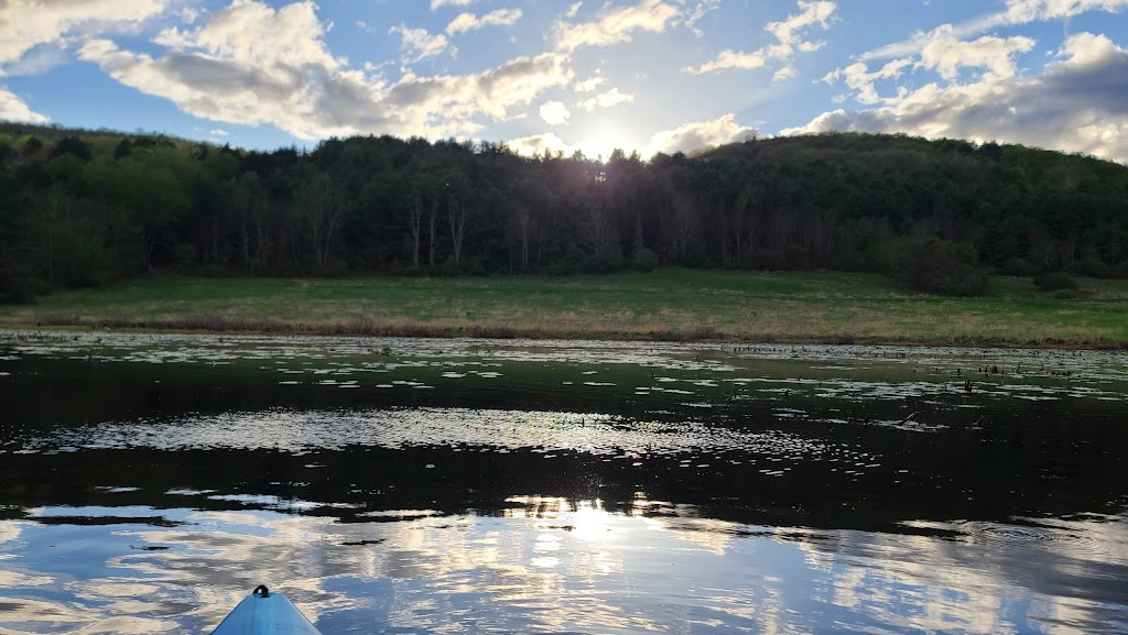 Franklinton Vlaie Wildlife Management Area | Middleburgh, NY 12122, USA | Phone: (607) 652-2302