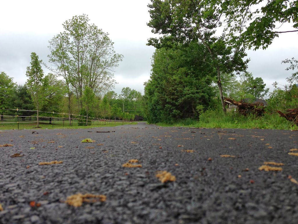 D & R Paving | 1 Apollo Dr, Albany, NY 12205, USA | Phone: (518) 786-8100