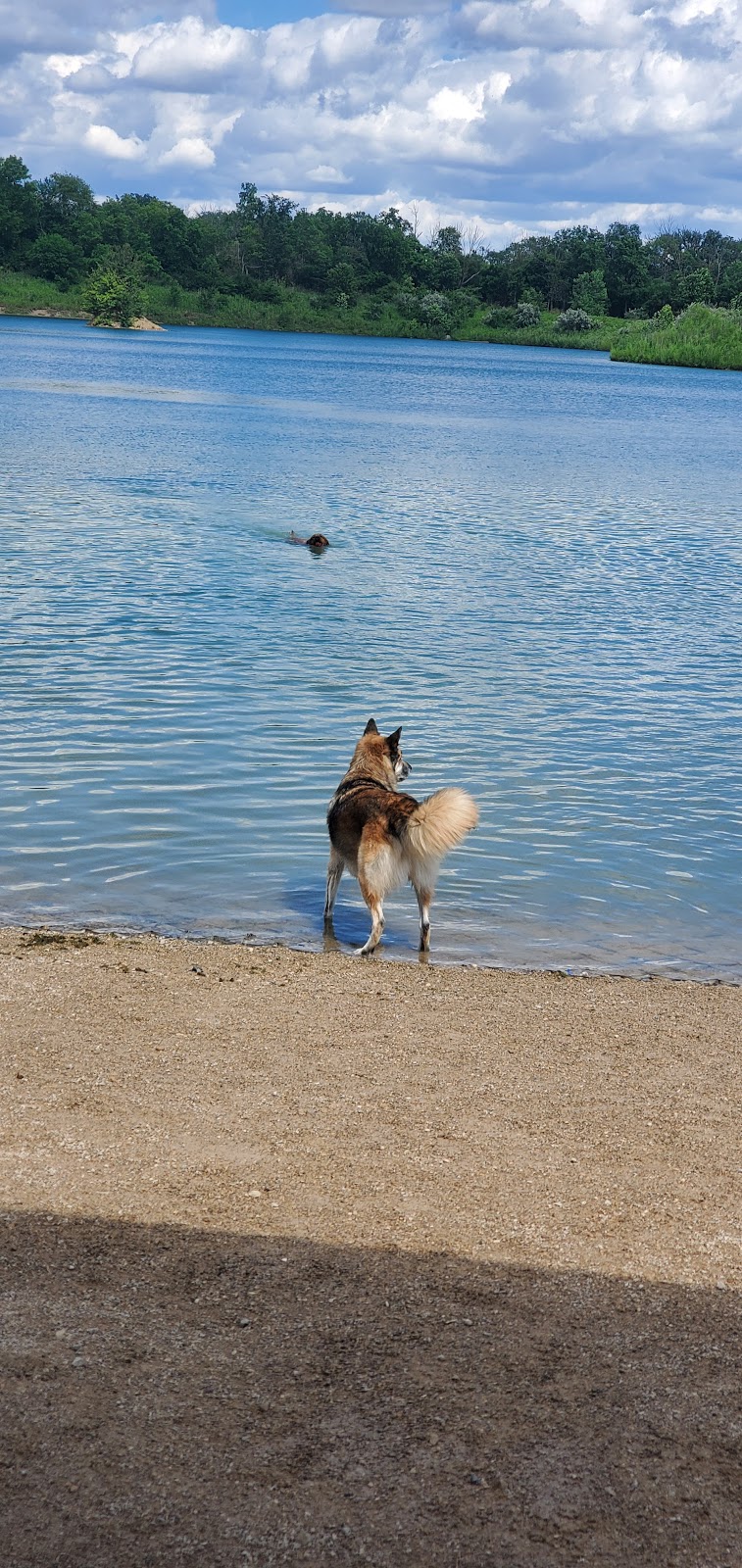 Prairie Oaks Dog Beach | 2755 Amity Rd, Hilliard, OH 43026, USA | Phone: (614) 208-4321