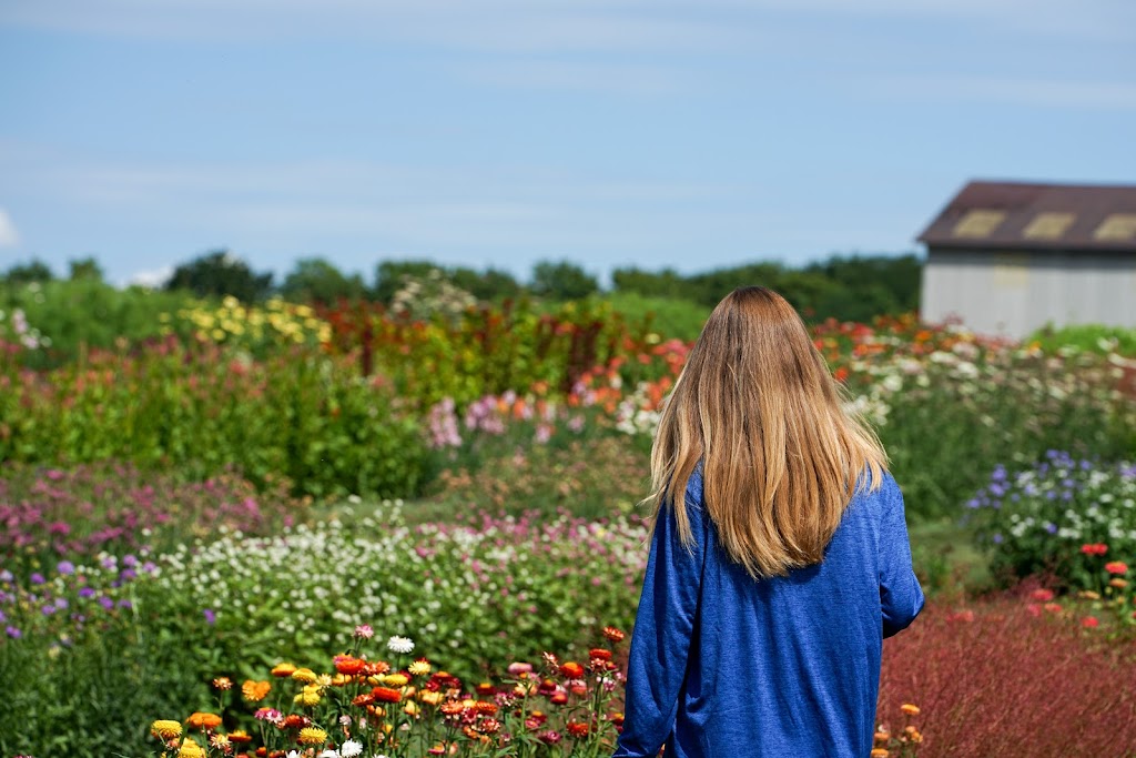 Flowers on the Hill | 5787 W Middlebury Rd, Wyoming, NY 14591, USA | Phone: (585) 356-5491