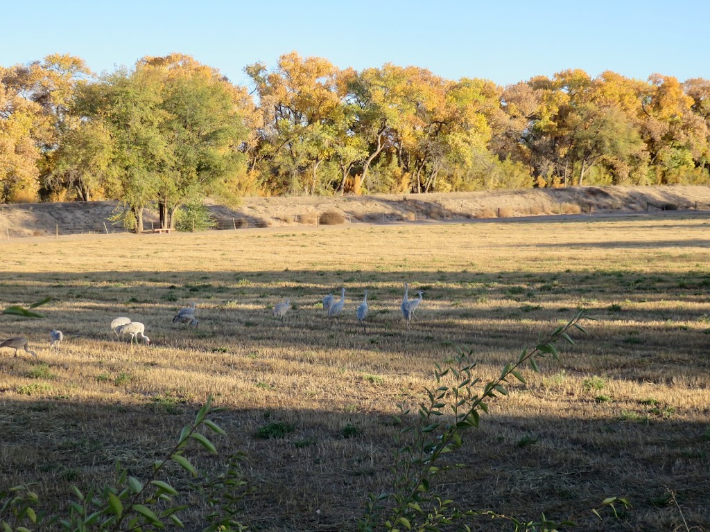 Durand Open Space | 4750 Isleta Blvd SW, Albuquerque, NM 87105, USA | Phone: (505) 314-0400