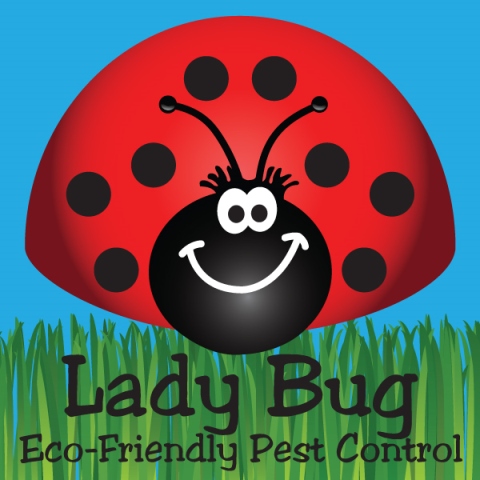 Lady Bug Eco-Friendly Pest Control | 1641 E University Dr, Mesa, AZ 85203, USA | Phone: (480) 833-1111