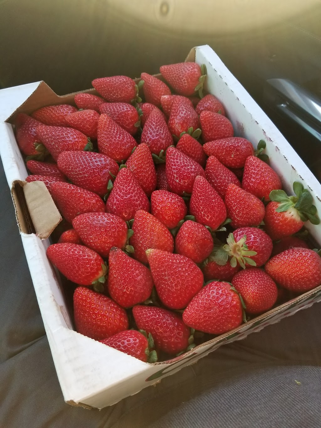 Nicolsons Strawberries | 8112 Foothill Blvd, Rancho Cucamonga, CA 91730, USA | Phone: (909) 982-0086