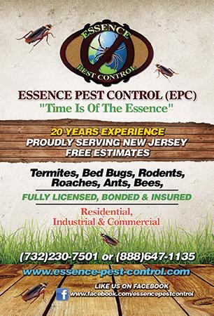 Essence Pest Control | 55 15th St, Somerset, NJ 08873, USA | Phone: (732) 230-7501
