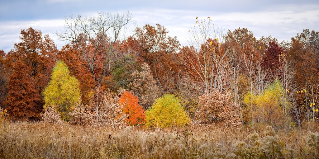 Penney Nature Center | Defiance, OH 43512, USA | Phone: (419) 782-1794