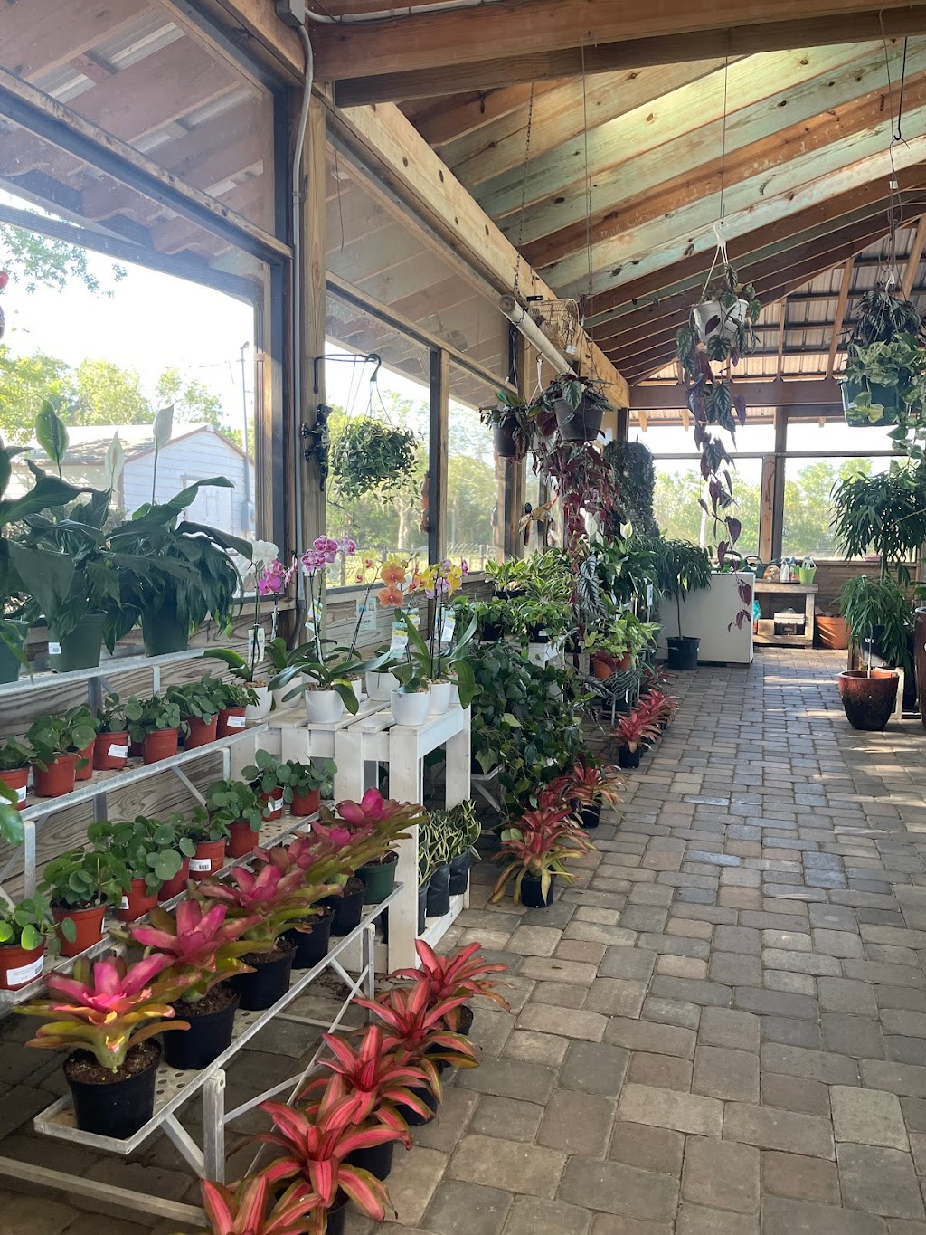 Mariposa Nursery Inc | 5020 Lorraine Rd #5301, Bradenton, FL 34211, USA | Phone: (941) 747-0499