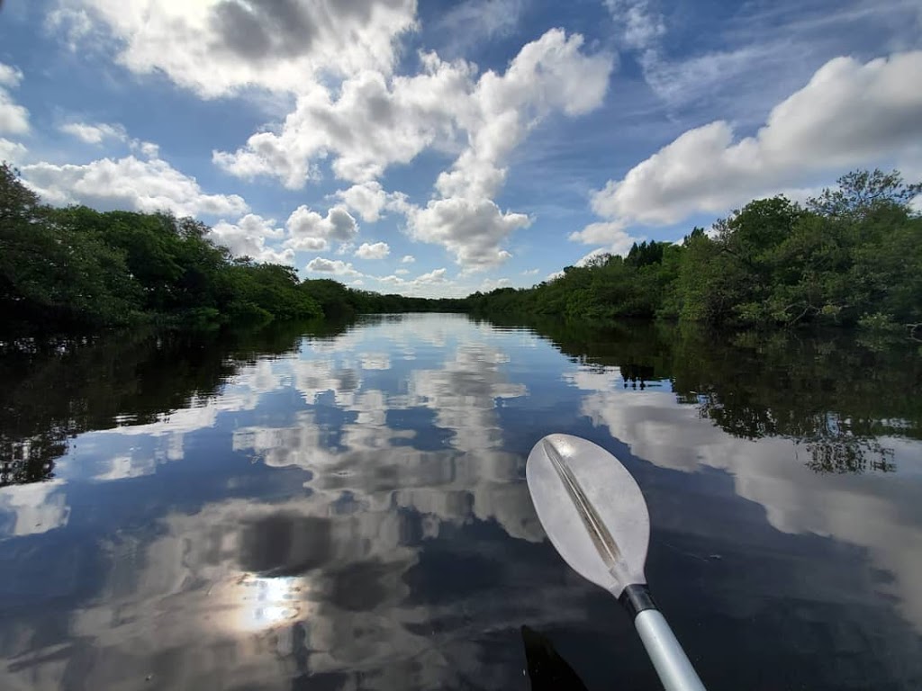 Robert Crown Wilderness Area | 4230 Green Key Rd, New Port Richey, FL 34652, USA | Phone: (727) 847-2411