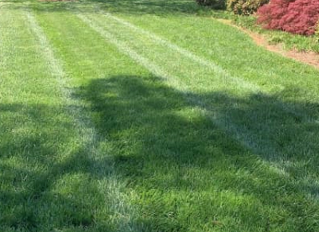 Top Turf Lawn Care and Pest Management | 8410 Browns Bridge Rd, Gainesville, GA 30506, USA | Phone: (770) 814-6109