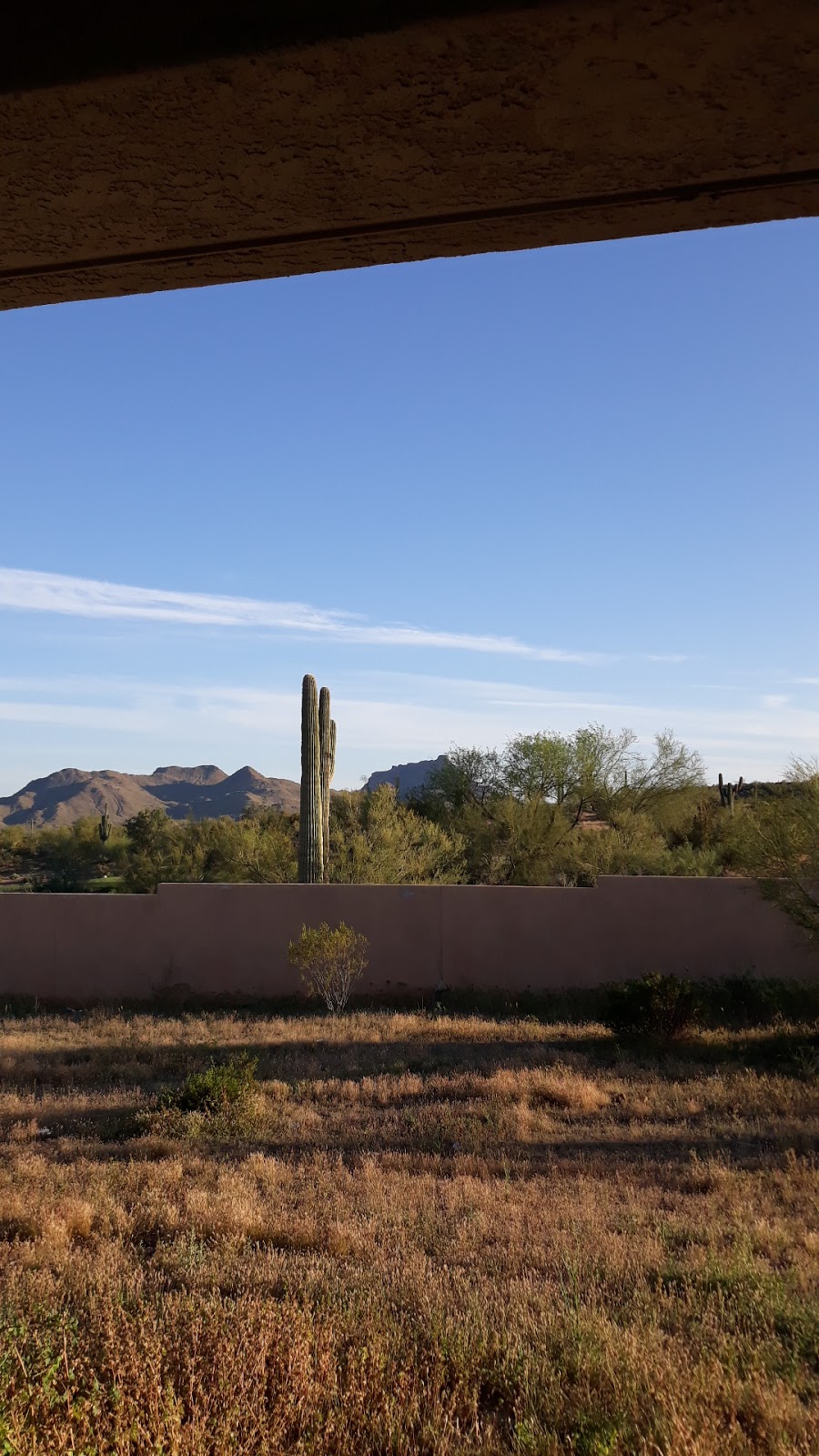 Fort McDowell Yavapai Nation Tribal Library | 16708 N Fort McDowell Rd, Fort McDowell, AZ 85264, USA | Phone: (480) 789-7848