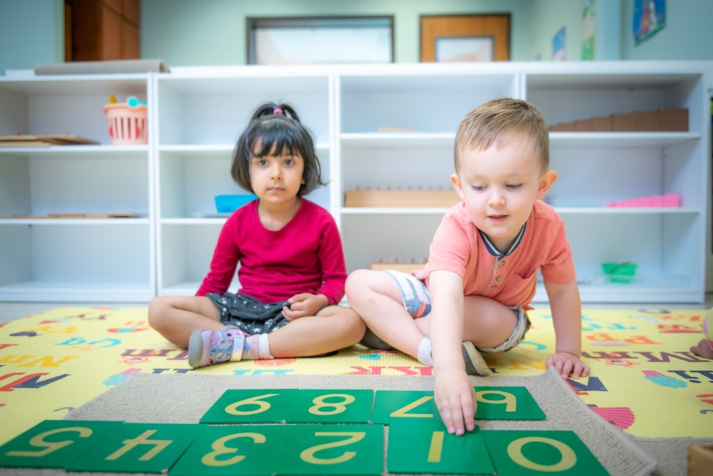 Trillium Montessori Round Rock | 1000 Sam Bass Cir, Round Rock, TX 78681, USA | Phone: (512) 779-3883