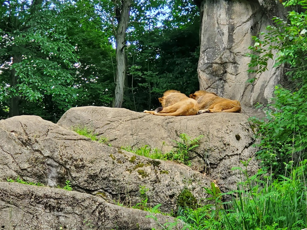 Pittsburgh Zoo & PPG Aquarium | 7370 Baker St, Pittsburgh, PA 15206, USA | Phone: (412) 665-3640