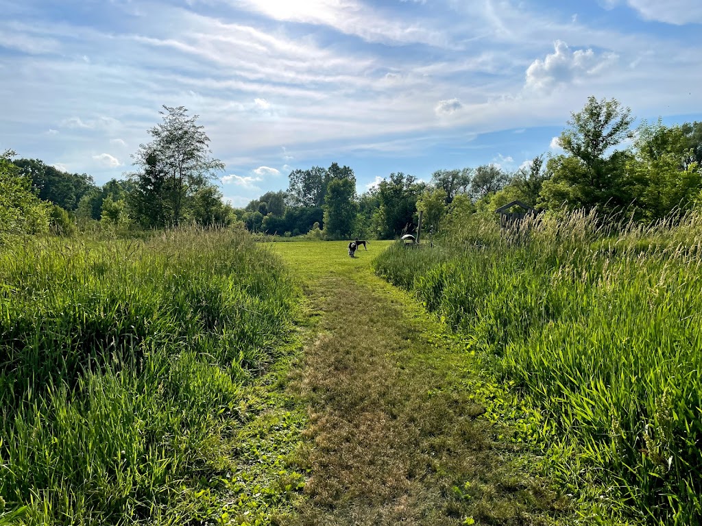 Paw Run Private Dog Park | 6886 Zeeb Rd, Dexter, MI 48130, USA | Phone: (734) 476-1620