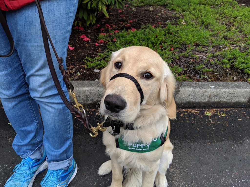 Guide Dogs For the Blind | 32901 SE Kelso Rd, Boring, OR 97009, USA | Phone: (503) 668-2100