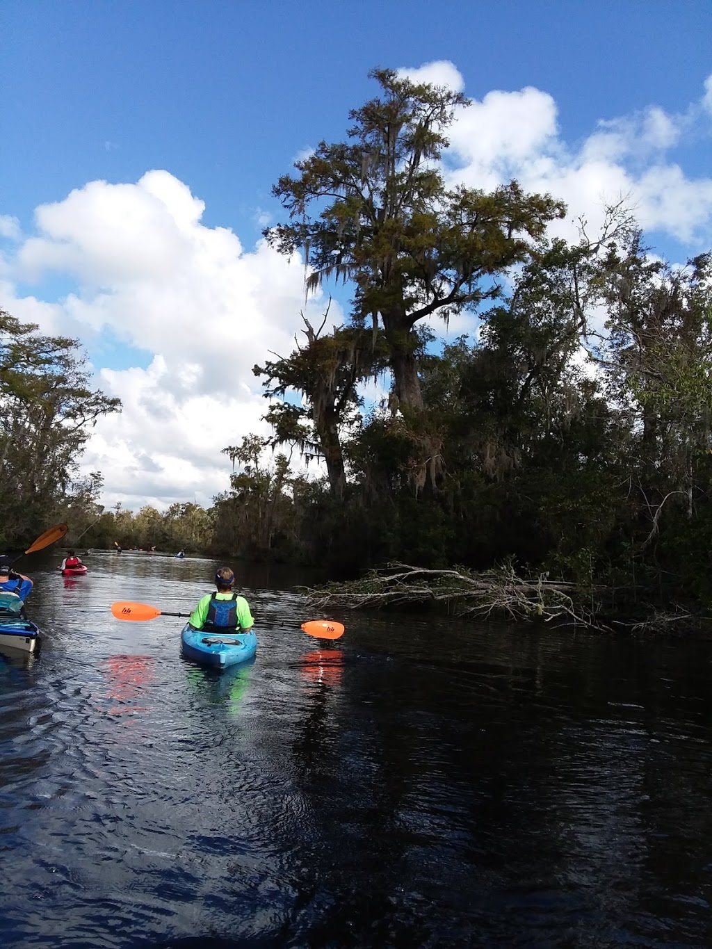 Four Creeks WMA | 56000 Dixon Tr, Callahan, FL 32011, USA | Phone: (904) 845-3597